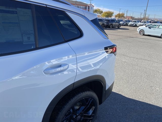 2025 Volkswagen Tiguan SE