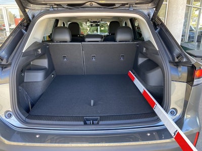 2025 Volkswagen Tiguan SE